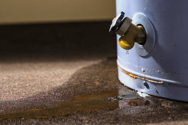 Best Water damage cleanup near me  in Atlanta, GA