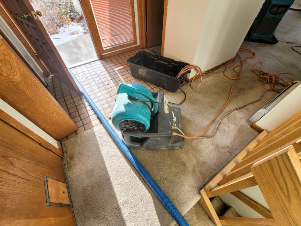 Best 24/7 water damage repair  in Atlanta, GA