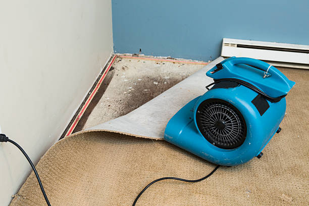 Best Local water damage restoration  in Atlanta, GA